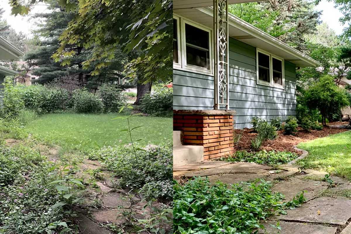 Back to Nature in St Paul - Banner