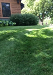 Earth Friendly Lawn & Garden