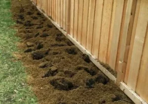 Earth Friendly Lawn & Garden 7