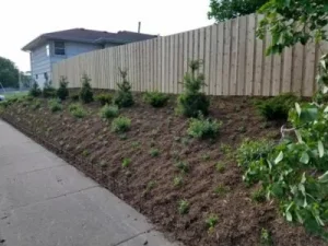 Hillside Plantings 6