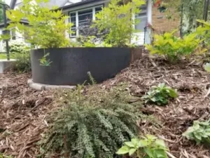 Hillside Plantings 7