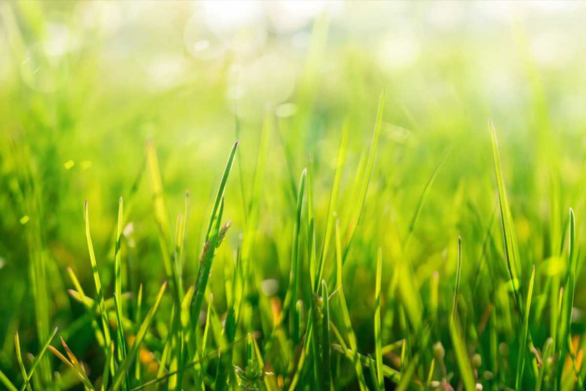 How To Worm Bins Compost Health - Banner