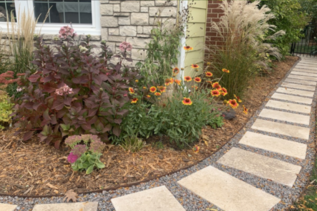Walking a New Path to Functional Landscaping and a Pollinator Garden Featured Image