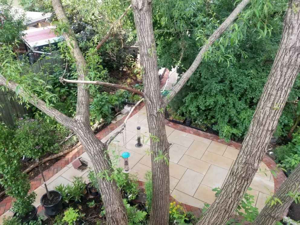 Aerial view showing a patio from a treetop