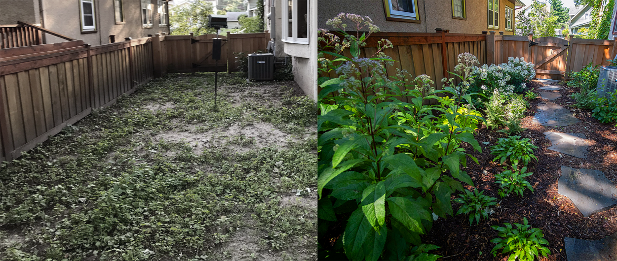 Before image showing a mostly dead and weedy yard and an after picture showing its new garden design