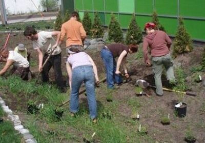 Gardeners installing new plants into a garden