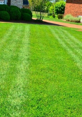Tidy green lawn with lines cut into it