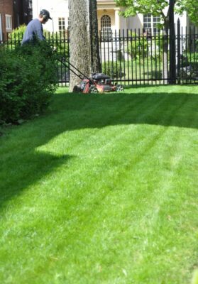 Landscaper mowing perfect lines into a lawn
