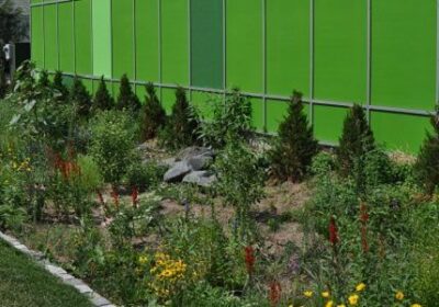Green building with a large rain garden along its exterior
