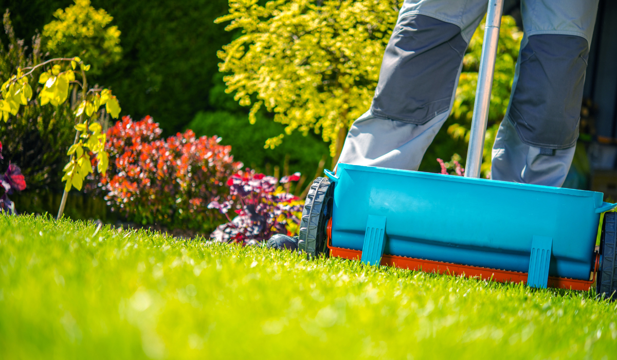 Seeding and fertilizing lawn using a spreader