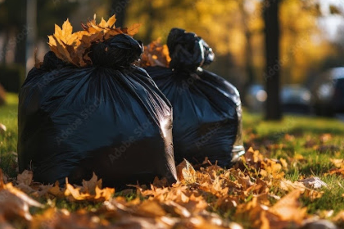 Yard Waste Fall Removal- Minneapolis Featured Image