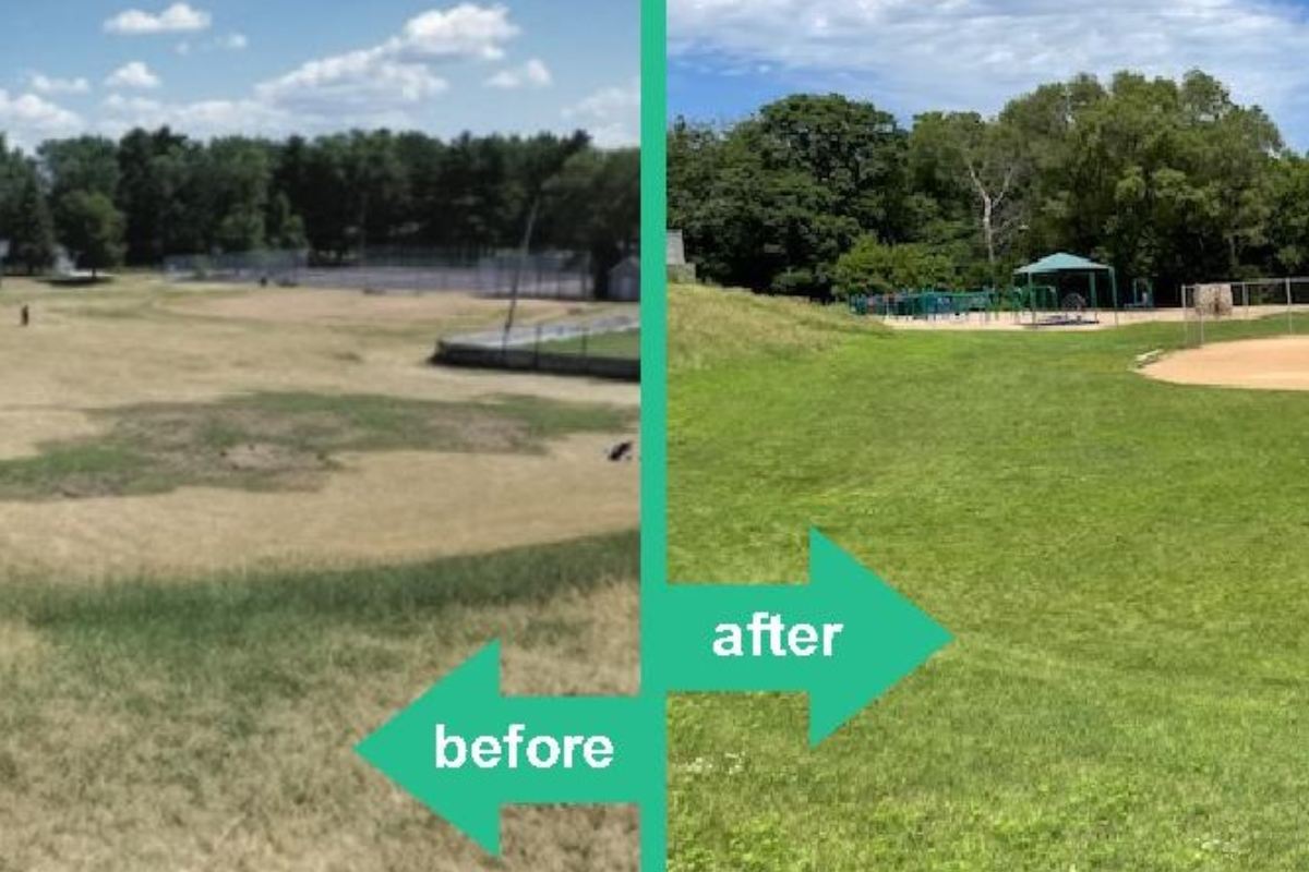 Lawn Restoration Featured Image