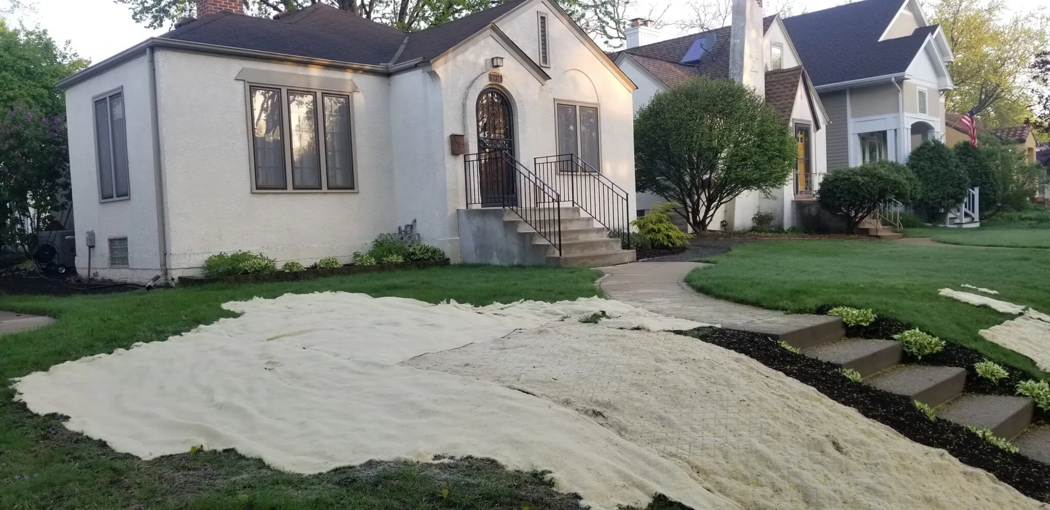 Seed blanket covering a rapid lawn restoration.