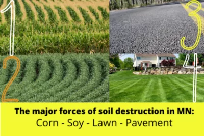 Corn Soil Lawn Pavement