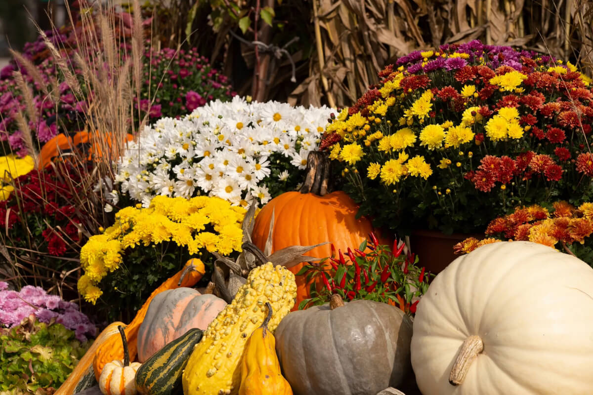 Fall Garden Guide Image