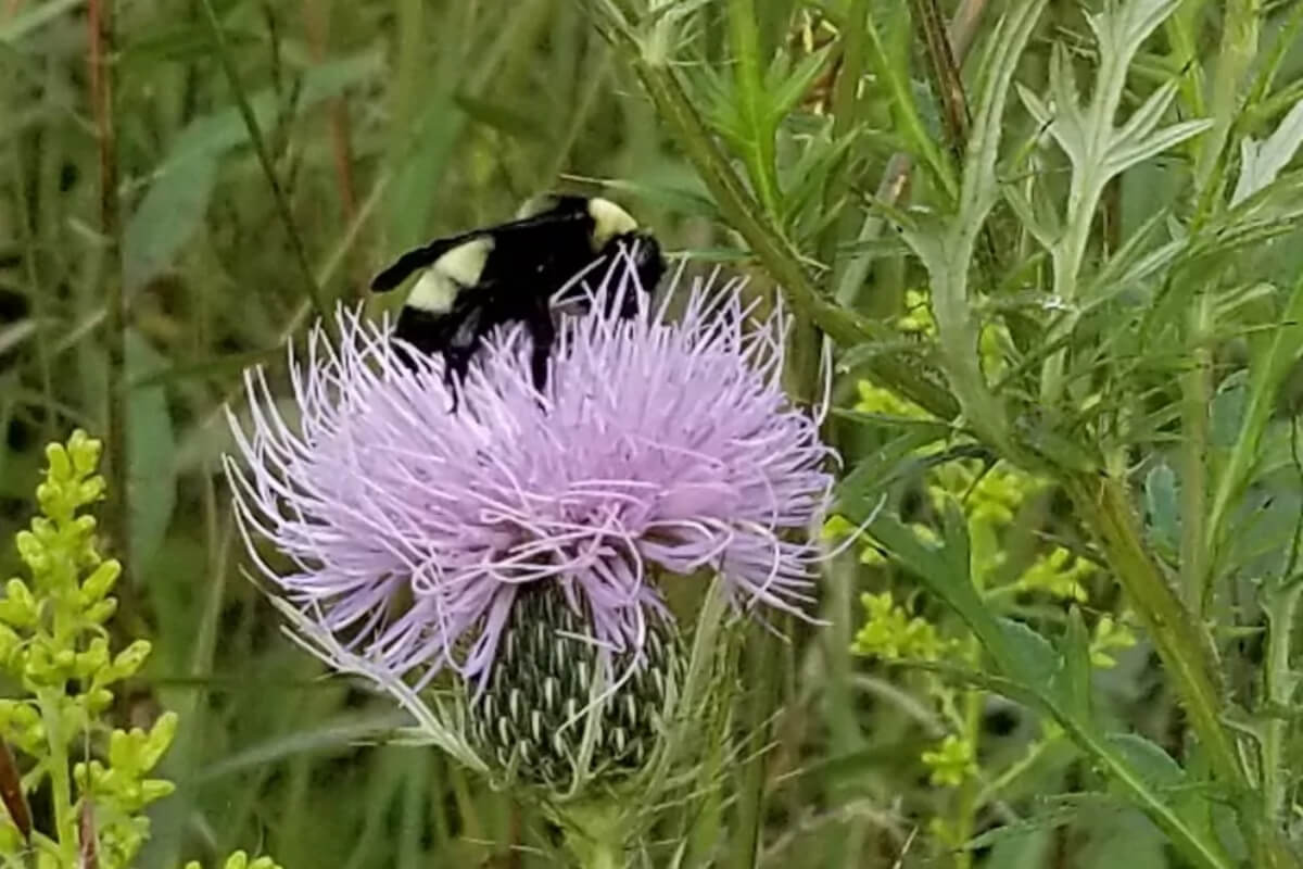 Interview with Russ Henry, President Blog Image