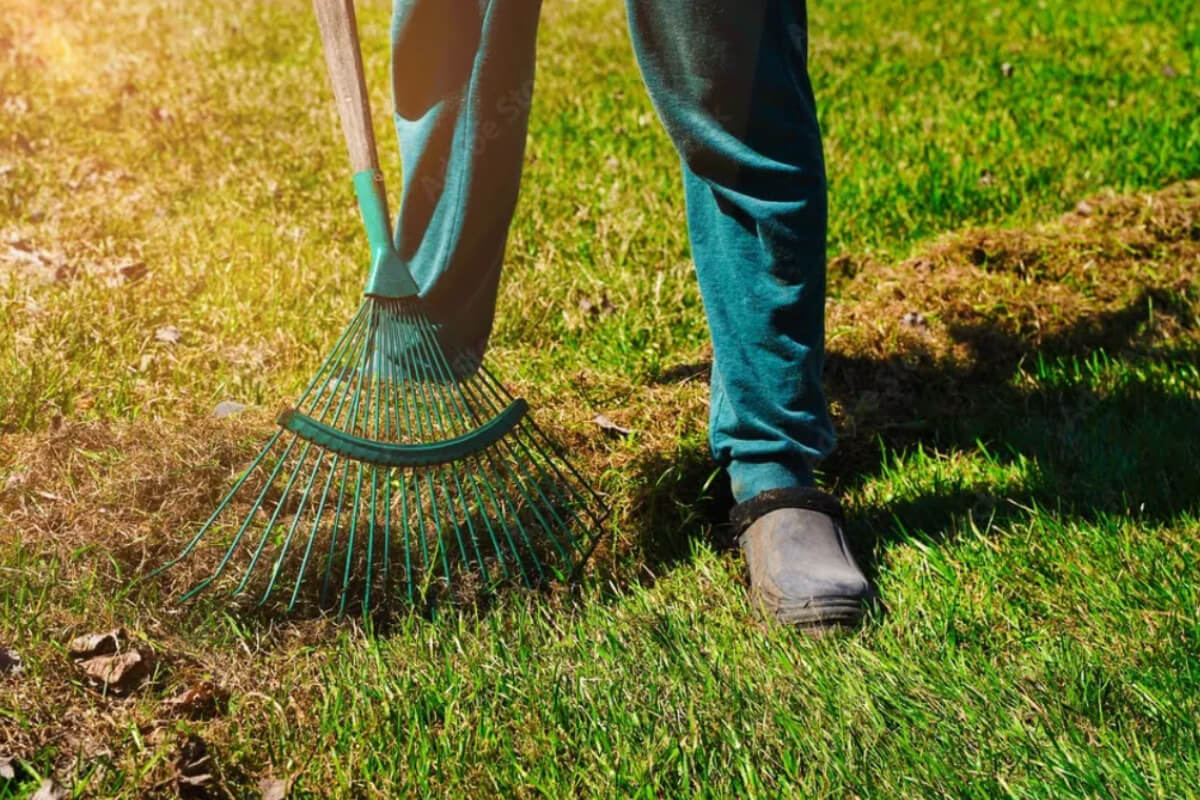 Minneapolis Fall Aeration Services Image