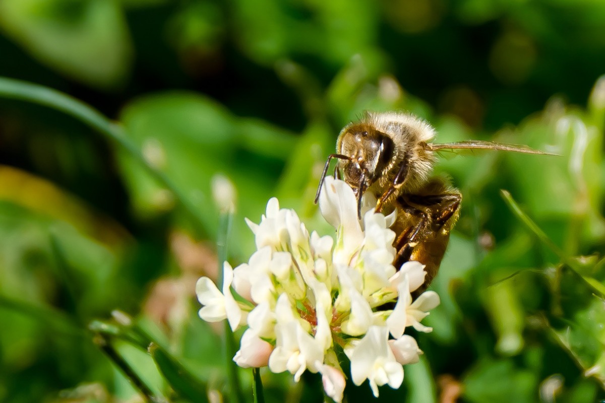 Minnehaha Falls Landscaping - Landscaping in Minneapolis