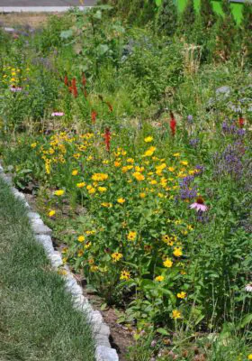 Rain Garden Portrait