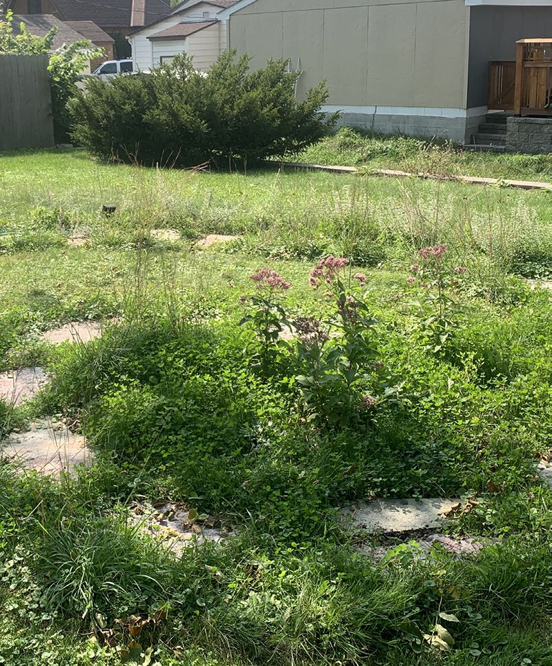 schnieders-case-study-2