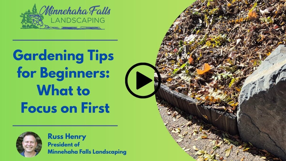 Gardening Tips for Beginners: What to Focus on First