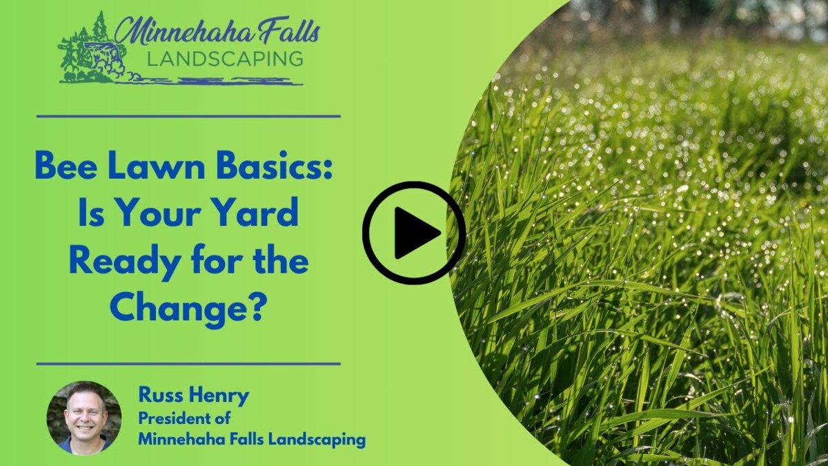 Bee Lawn Basics: Is Your Yard Ready for the Change?
