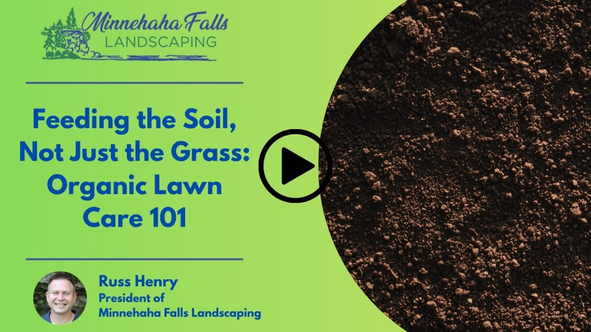 Feeding the Soil, Not Just the Grass: Organic Lawn Care 101
