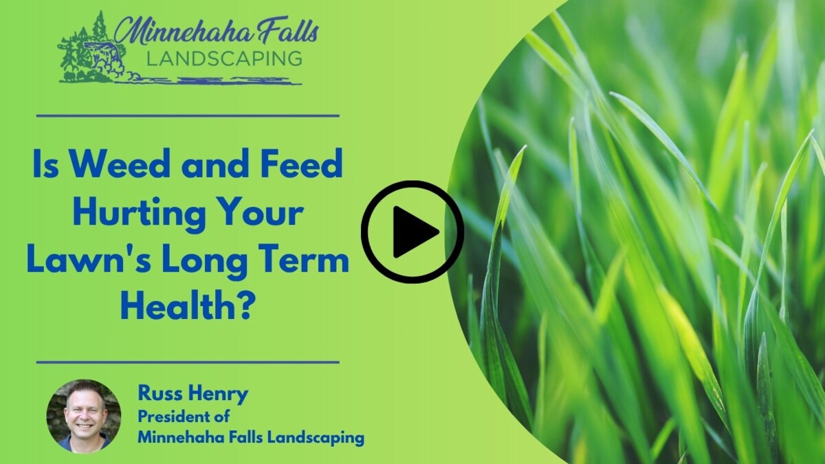Is Weed and Feed Hurting Your Lawn's Long-Term Health?