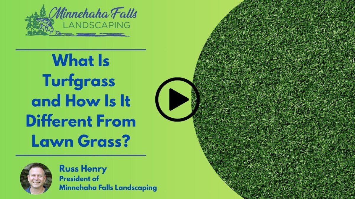 What Is Turfgrass and How Is It Different from Lawn Grass?