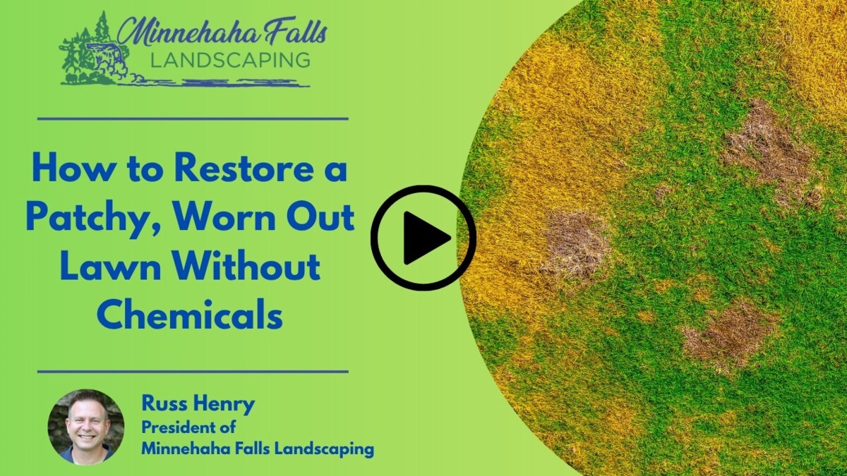 How to Restore a Patchy, Worn-Out Lawn Without Chemicals